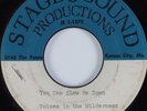Black Gospel Acetate 45 VOICES IN THE WILDERNESS You Can Slow Me Down HEAR