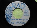 THE METAPHORS.COME ON BACK TO ME..RAD RARE SOUL M-