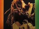 Bob Marley & The Wailers - Live in Chicago SWINGIN PIG