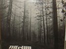THE CURE A FOREST 12