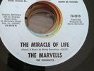 SWEET SOUL / NORTHERN .... THE MARVELLS (FINER ART )