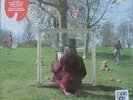 SYD BARRETT (PINK FLOYD) - An Introduction To - (2011 RSD Ltd Ed 2-LP Set) - NEW