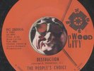 THE PEOPLES CHOICE Destruction RARE GRAND RAPIDS MI NORTHERN SOUL R&B 45 RPM