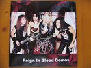 SLAYER - REIGN IN BLOOD DEMOS