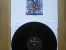 Talk Talk - SPIRIT OF EDEN - Rare 12