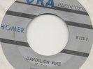 TEXAS PSYCH/GARAGE 45 Homer Dandilion Wine I Never Cared for You (URA) LISTEN