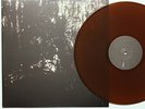 BLUT AUS NORD 