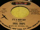 SKULL SNAPS.IT'S A NEW DAY/MY HANG UP IS YOU.GSF RECORDS.US ORIG.