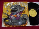 CATFISH LIVE - FEATUREING BOB HODGE -  ORGINAL EPIC LP 1967