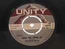 Reggae Boys - What You Gonna Do - rare Unity original