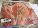 CANNIBAL CORPSE - The Bleeding - rare 12