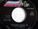 NORTHERN SOUL - The IKETTES What'cha Gonna Do PHI-DAN