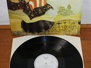 PUMPKIN Rare Original 1976 DUTCH LP JAZZ FUNK FUSION Breaks Placebo Style