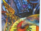 INFECTED MUSHROOM Classical Mushroom Psytrance Goa LP Vinyl Record Germany RARE