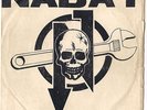 NABAT   SCENDEREMO NELLE STRADE ORIGINALE CAS RECORDS RARE