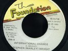 Stephen Marley Wright - International Change JA orig 7