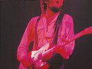 Bruce Springsteen - Saint In The City  DLP SWINGIN PIG