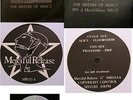 THE SISTERS OF MERCY  12