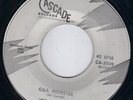 CRAZY HORROR CASCADE R&B ROCKERS / ROCKABILLY TWIN SPIN - JOE JOHNSON   HEAR