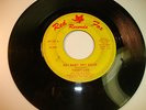 60s Garage Punk 45 Terry Lee & the Revelers on Red Fox Hear