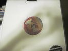 Led Zeppelin 200 gram 45 RPM Classic Records In through the Out Door Vinyl LP