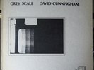 DAVID CUNNINGHAM LP AVANT GARDE EXPERIMENTAL ART ROCK THIS HEAT FLYING LIZARDS