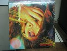 The Flaming Lips - Embryonic LP x2 + CD sealed warner bros 520857-1