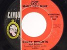 GARAGE 45 DJ : Bobby Roberts & Ravons - How Can I Make Her Mine