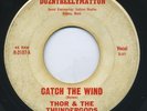 THOR & THE THUNDERGODS Catch The Wind   UNKNOWN   garage/psych Donovan Dylan mp3