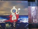 Julian Cope / 2 LP / Peggy Suicide / Robyn Hitchcock Echo & the Bunnymen The The