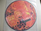 LP / Picture Disc - Tiamat ?– Wildhoney
