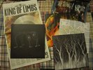 Radiohead - The King of Limbs (NEWSPAPER edition) Clear LP (kid a amnesiac bends