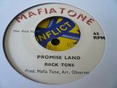 Rock Tone Promise Land Rare Killer Roots 7