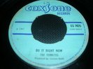 [COXSONE]   TERMITES - DO IT RIGHT NOW   [UK SKA/ROCK STEADY]