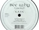 Bee Why - G.A.T.S.12