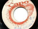 Mega rare SOUL REBEL VERSION 3 - GLEN ADAMS / UPSETTERS on Capo label ??