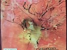 DOLDINGER´S MOTHERHOOD - LP - 1970 - Udo Lindenberg - Liberty      RAR    