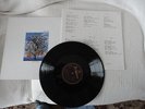 TALK TALK - SPIRIT OF EDEN  LP