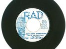 RARE 45 RPM, The Metaphors, RAD Records #712, VG, You Have Everything