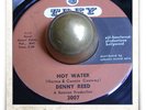 Denny Reed Hot Water ROCKABILLY POPCORN SOUL HEAR 45