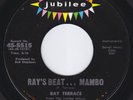 RAY TERRACE Ray's Beat RARE M- cond BOOGALOO latin soul 45 Watermelon Man HEAR