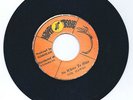 The Hawks  Nowhere to Hide/Version Ja Happy Tone Black Ark Lee Rarity 70's  M-