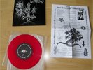 Black Witchery Katharsis SPLIT blasphemy proclamation archgoat teitanblood