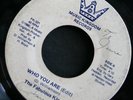 Modern Soul 45 THE FABULOUS KINGS on MUSIC KINGDOM If You Like/Who You Are rare