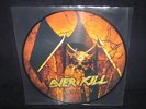 PicLP OVERKILL - ReliXIV