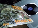 Savoy Brown      - Looking In -    TOP ZUSTAND
