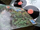 Savoy Brown  - Blue Matter/ Step Further -  TOP ZUSTAND
