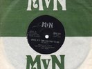 FRANCOISE HARDY 'UNTIL IT'S TIME FOR YOU TO GO' 45T AFRQIUE DU SUD