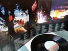 Pink Floyd    - The Final Cut -   UNPLAYED/ UNGESPIELT
