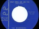 THE WANDERERS What Kinda Girl MOD NEW BREED 45 on CHA CHA